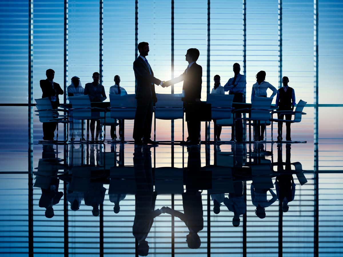 Professional Consulting